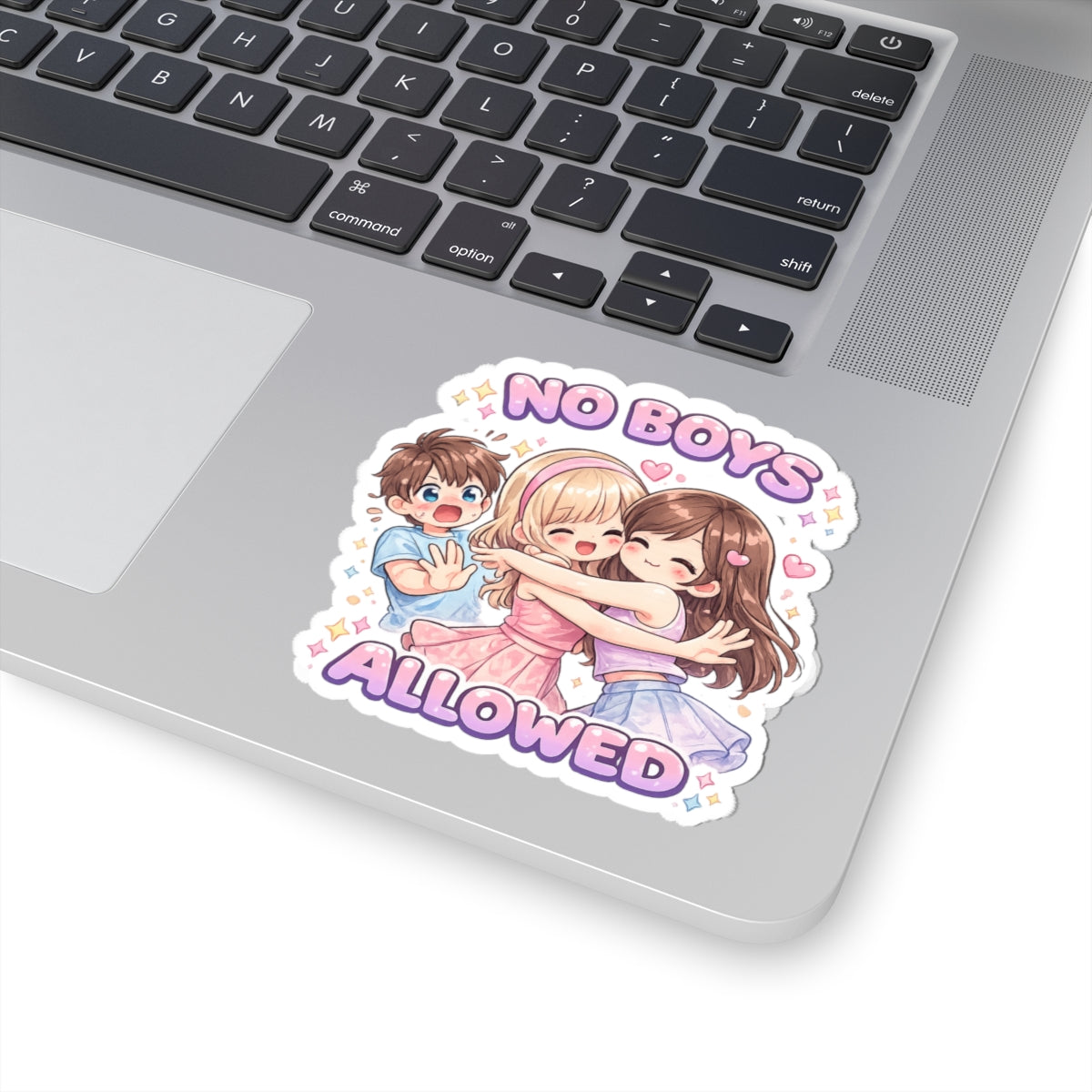 No Boys Allowed Sticker