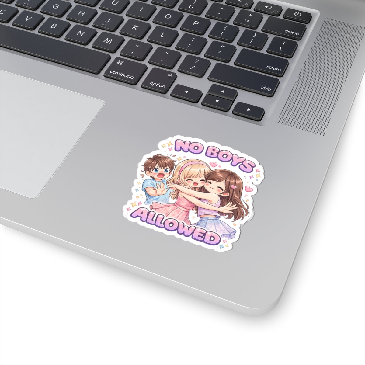 No Boys Allowed Sticker