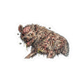 Zombie Hyena Sticker